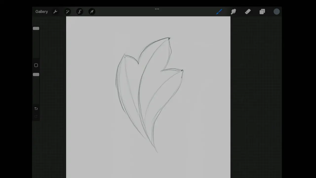 Pencil drawing on the tablet showing a leaf split by a centre line with one division to each side of it