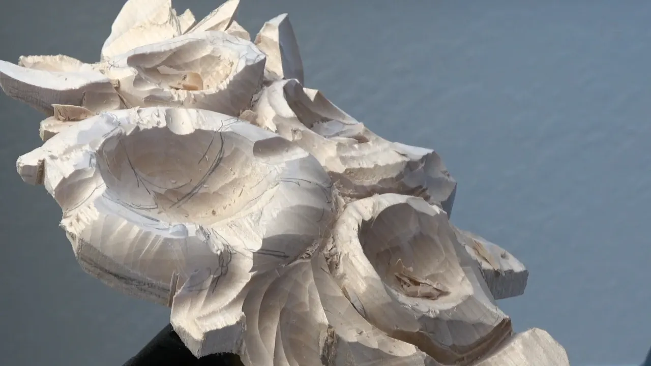 The whole second layer seen from below against a grey wall, petals pencilled in across every flower