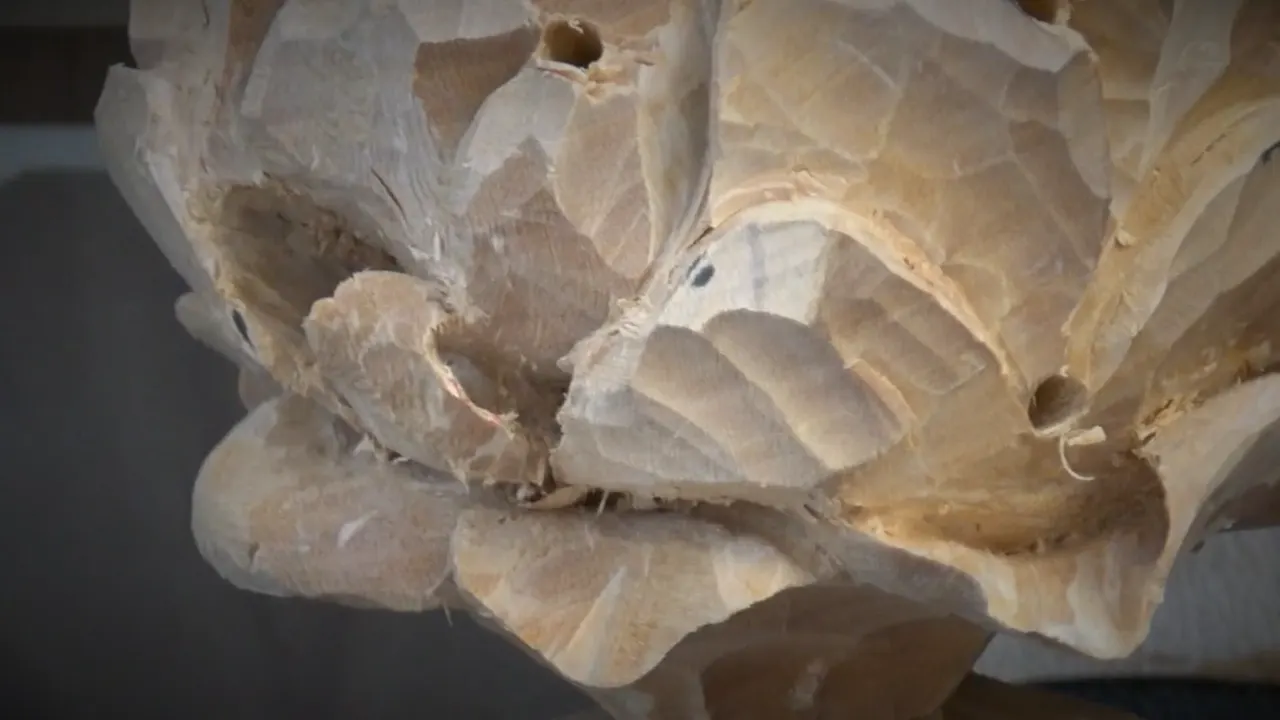 Deeply carved peony petals, one drilled opening still visible at the right of the flower.