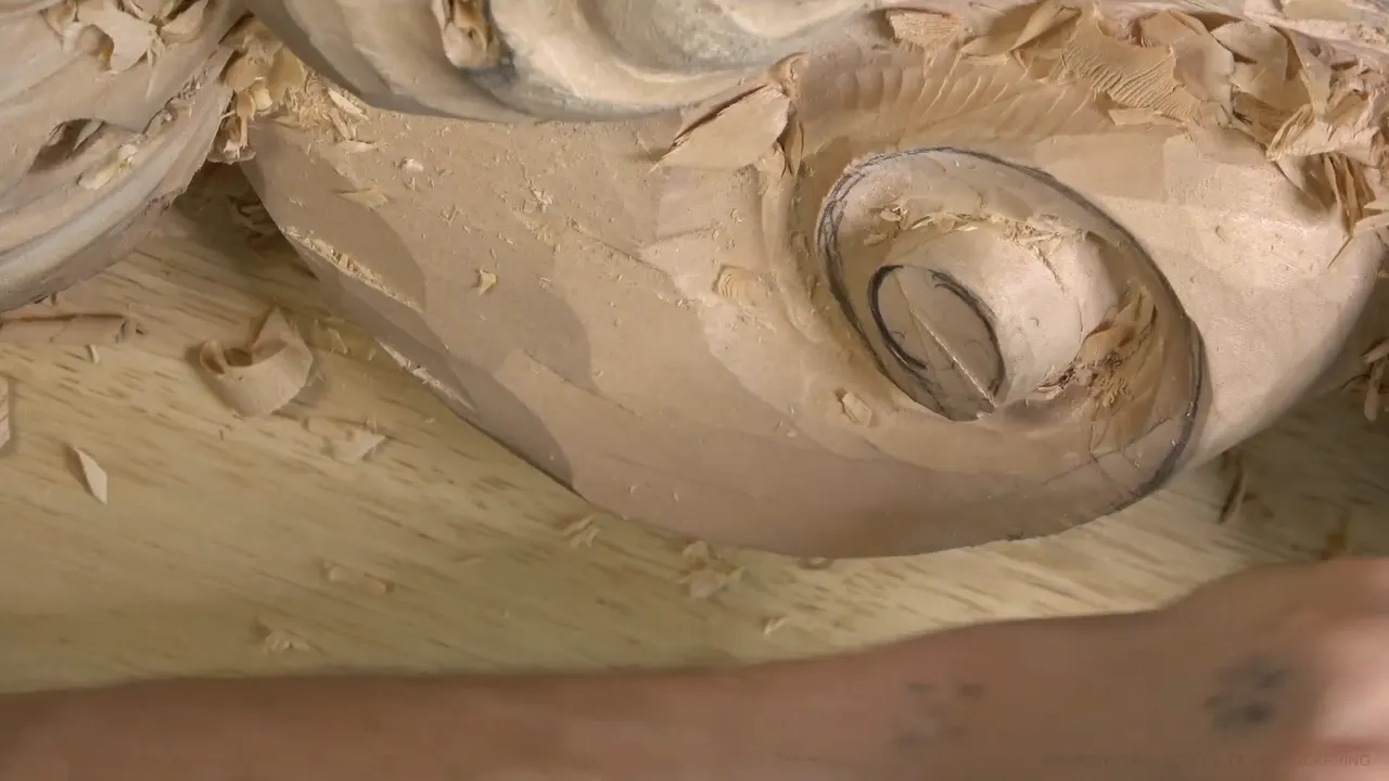 Close view of the volute with pencil circles still on its spiral and a curled leaf above it.